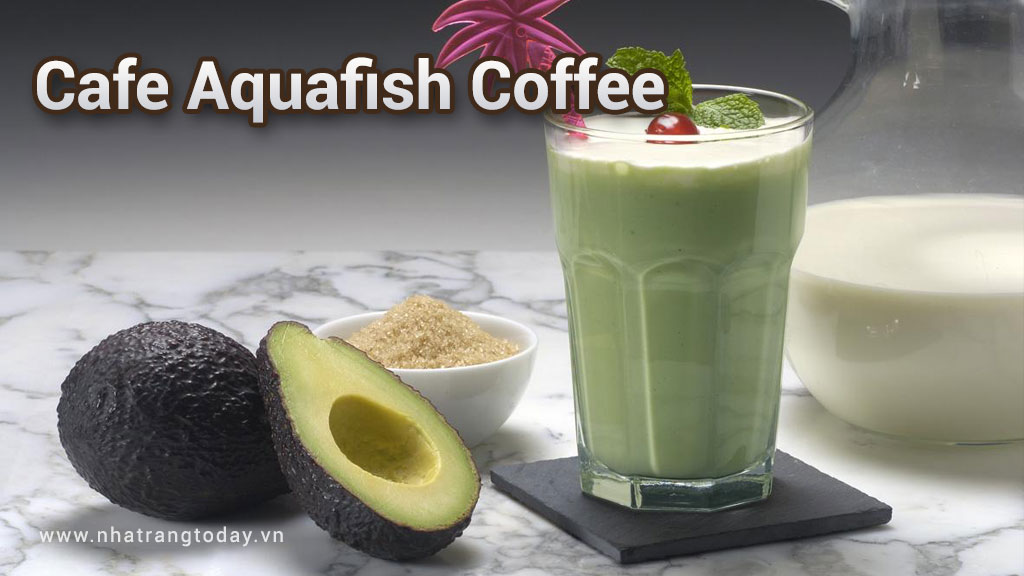 Aquafish coffee Nha Trang - Cafe thủy sinh tại Nha Trang