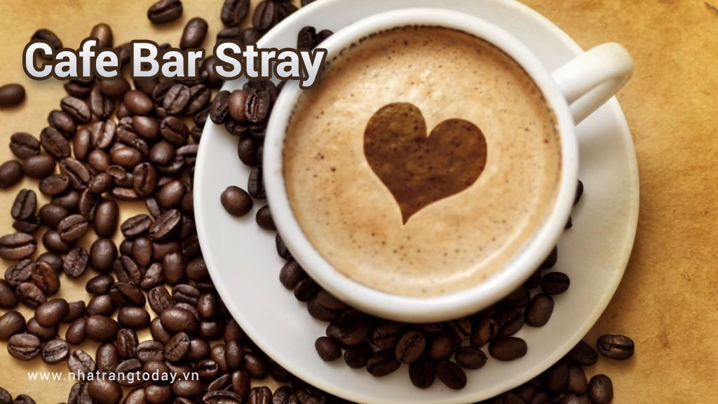 Cafe Bar Stray Nha Trang