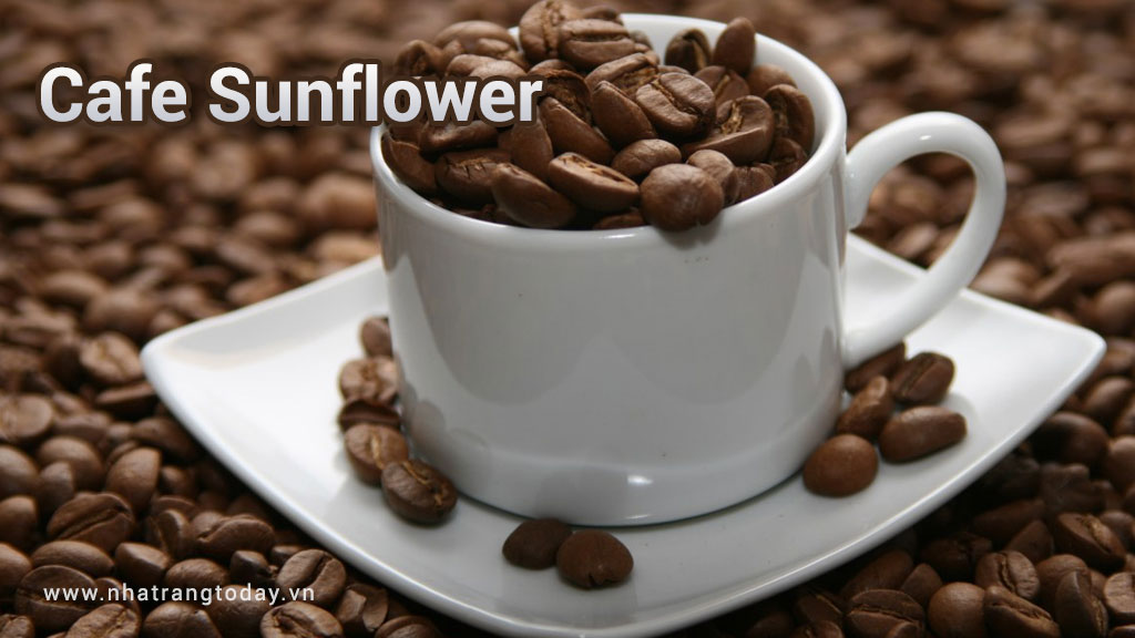 Cafe Sunflower Nha Trang