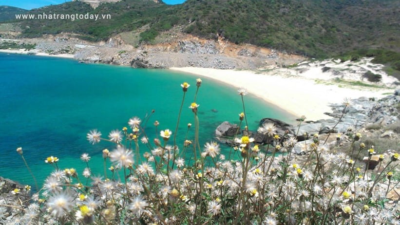 Đảo Bình Hưng Cam Ranh - Khánh Hoà