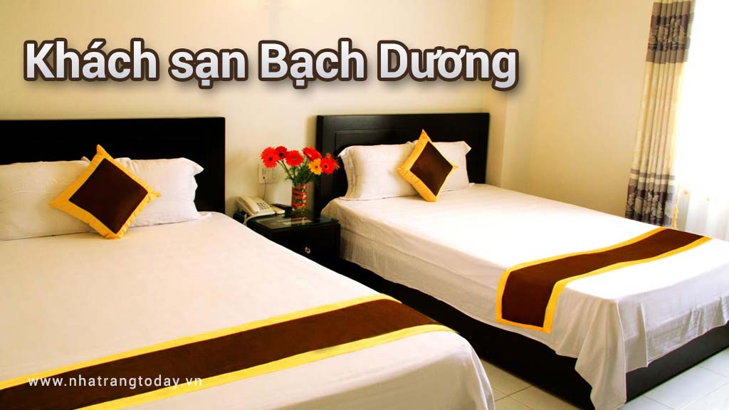 Khách sạn Bạch Dương Nha Trang
