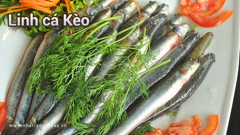 Linh Cá Kèo Nha Trang