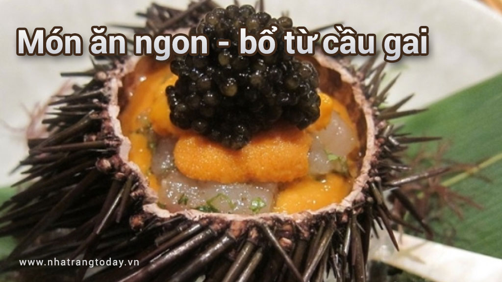 Những món ăn ngon - bổ từ cầu gai Nha trang