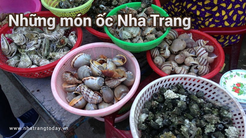Món Ốc Nha Trang