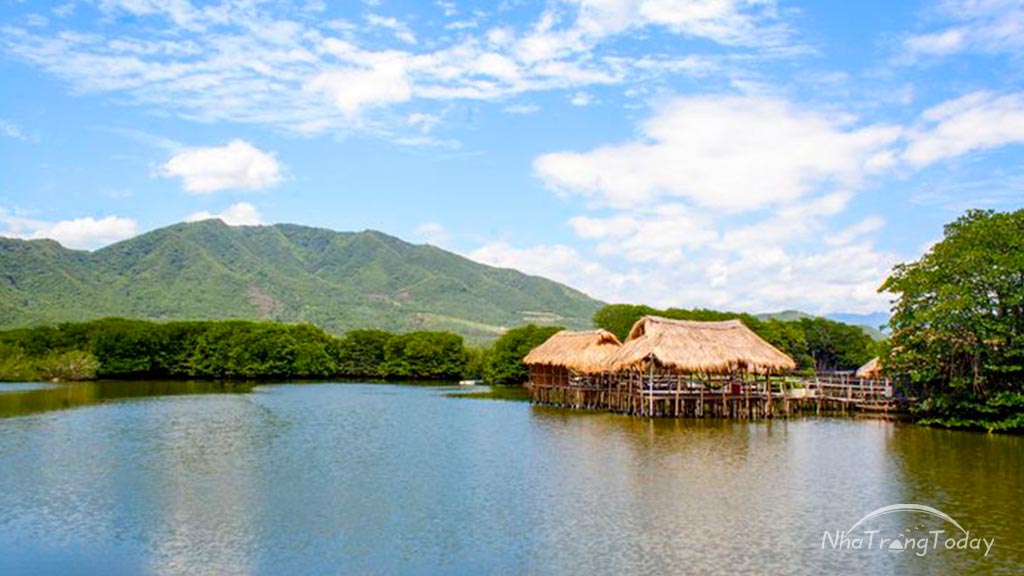 Khu Rừng Đước Nha Trang