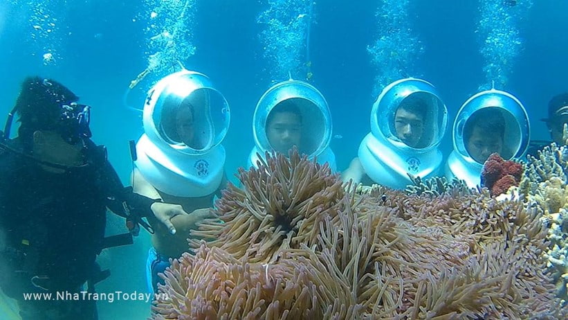 Tour đi bộ dưới biển Nha Trang